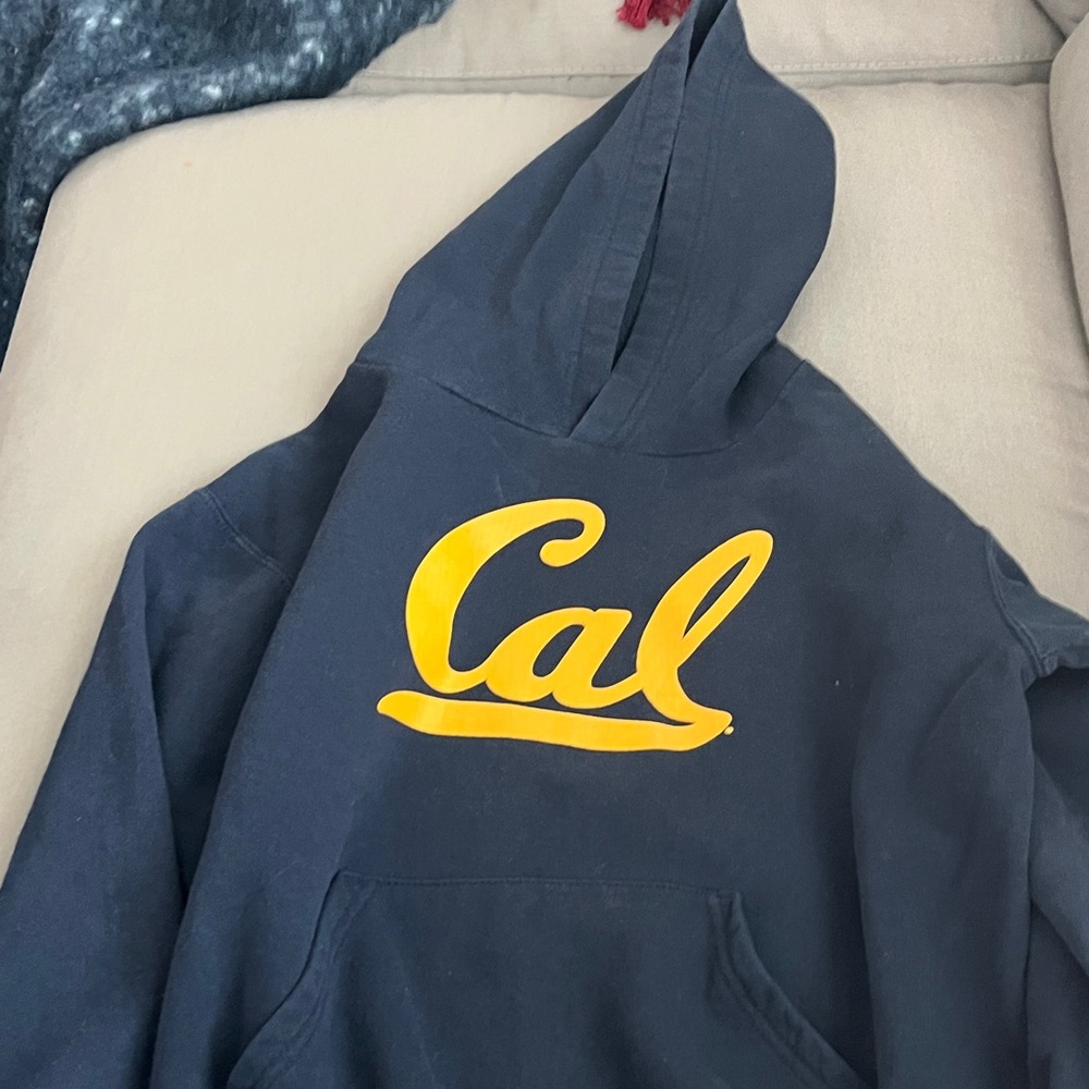 Champion university of California Berkeley Cal hoodie